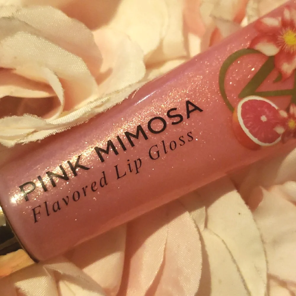 🧚‍♀️Victoria's Secret RARE Pink Mimosa Rare Lip Gloss NWT